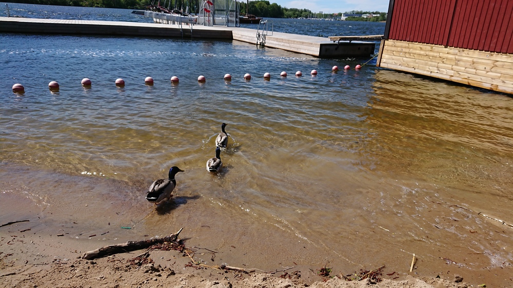 北欧の旅ラン、ストックホルムHuvudsta の写真9