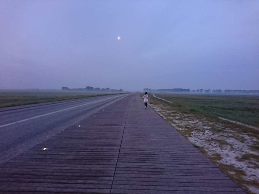 朝霧に浮かぶモンサンミッシェルの写真5