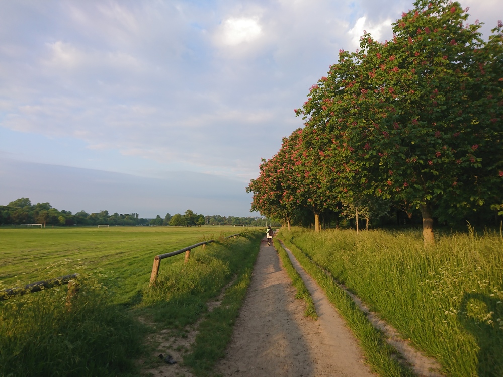 セーヌ川からブローニュの森への写真7