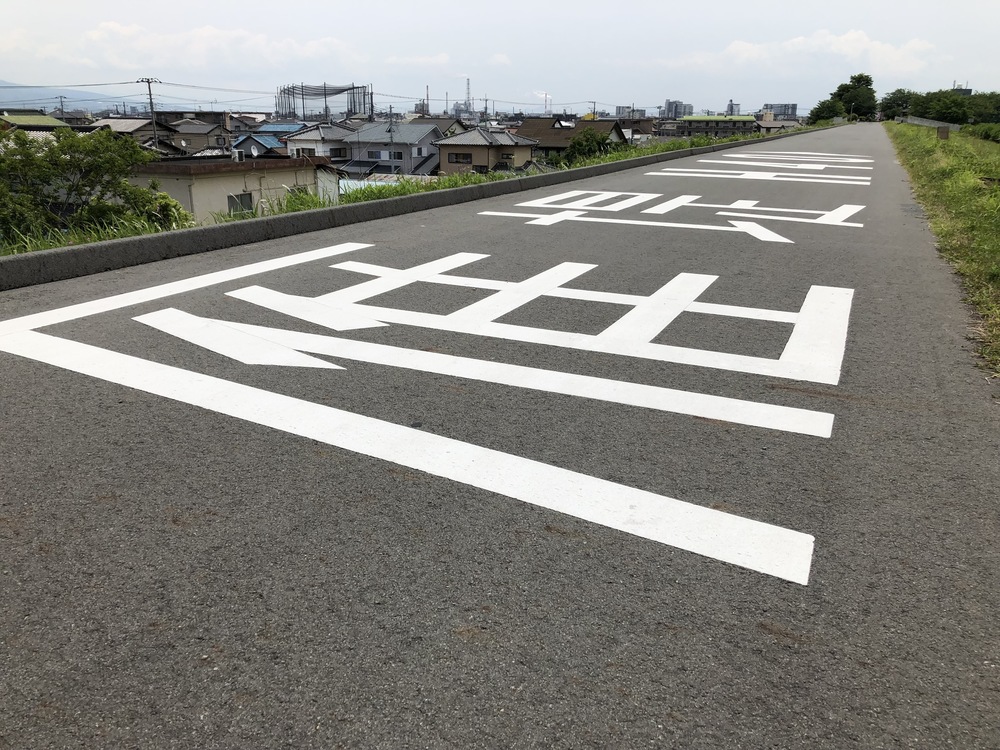 かりがね〜ふじのくに田子の浦みなと公園往復ハーフの写真3