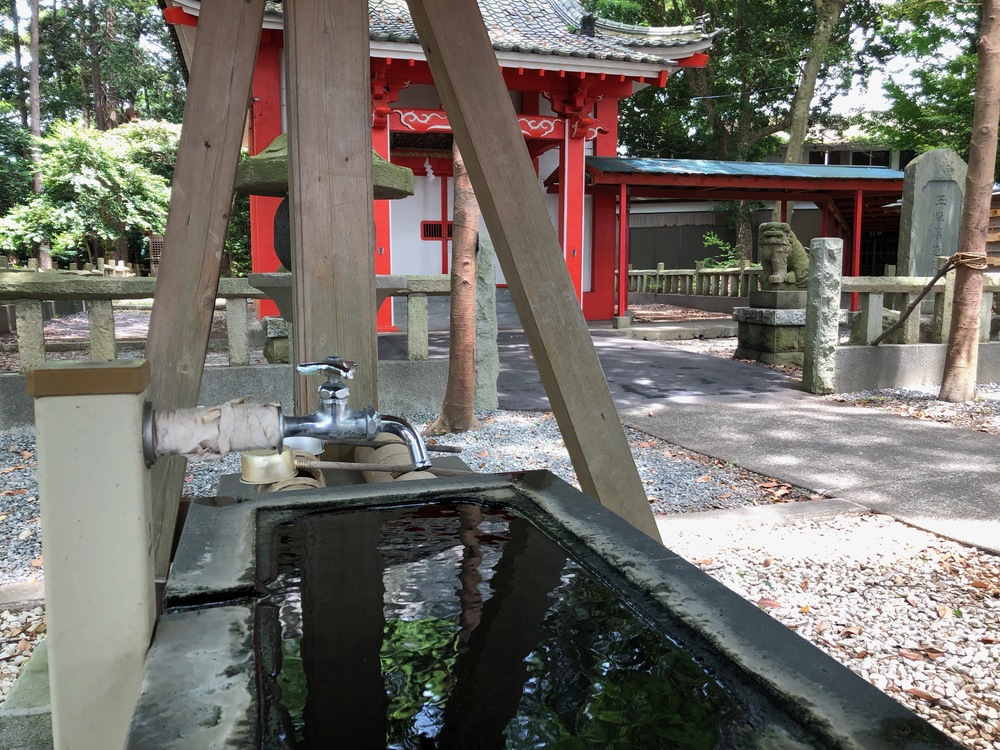 かりがね〜ふじのくに田子の浦みなと公園往復ハーフの写真6