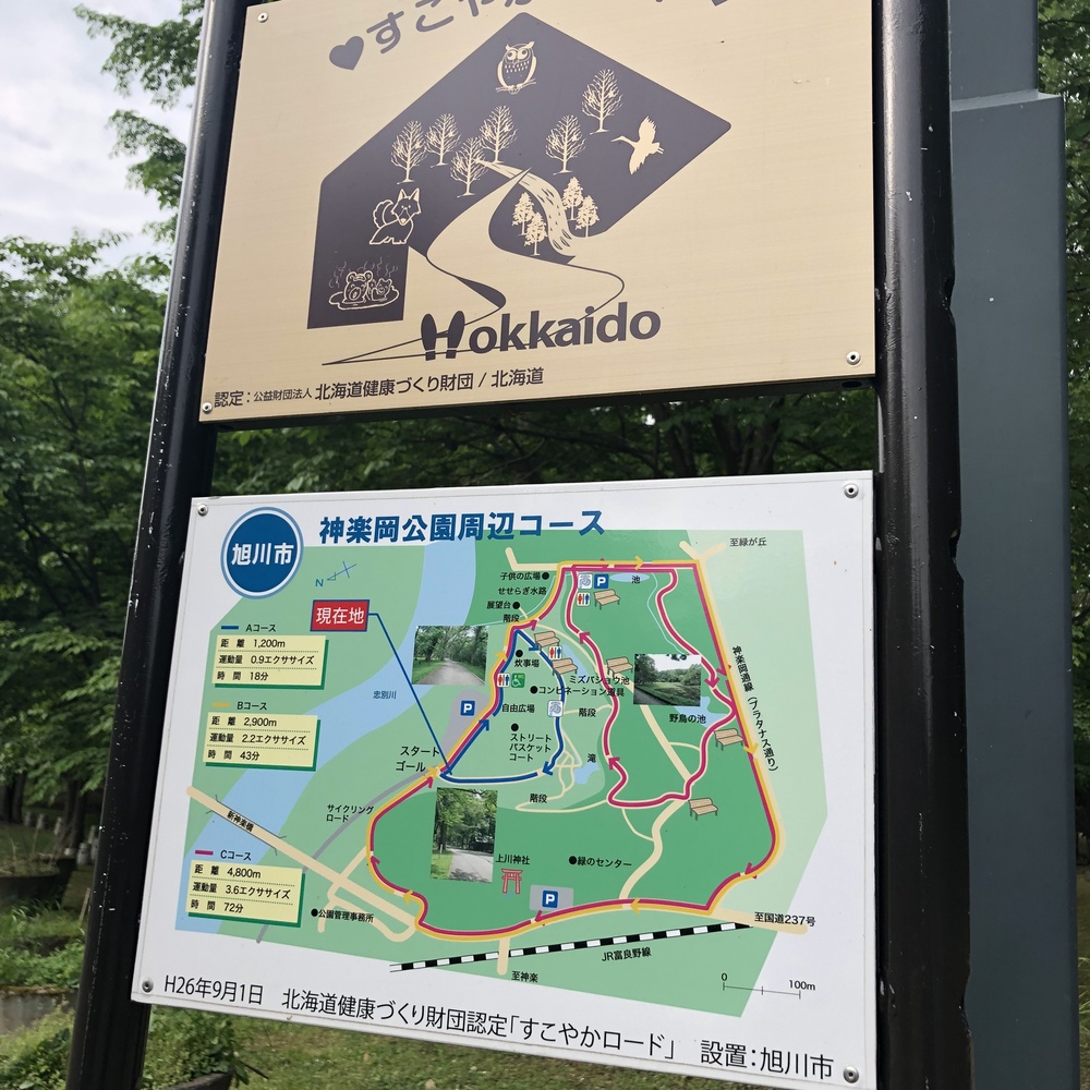 街に泊まって自然を満喫する旭川の公園と河川敷の写真3