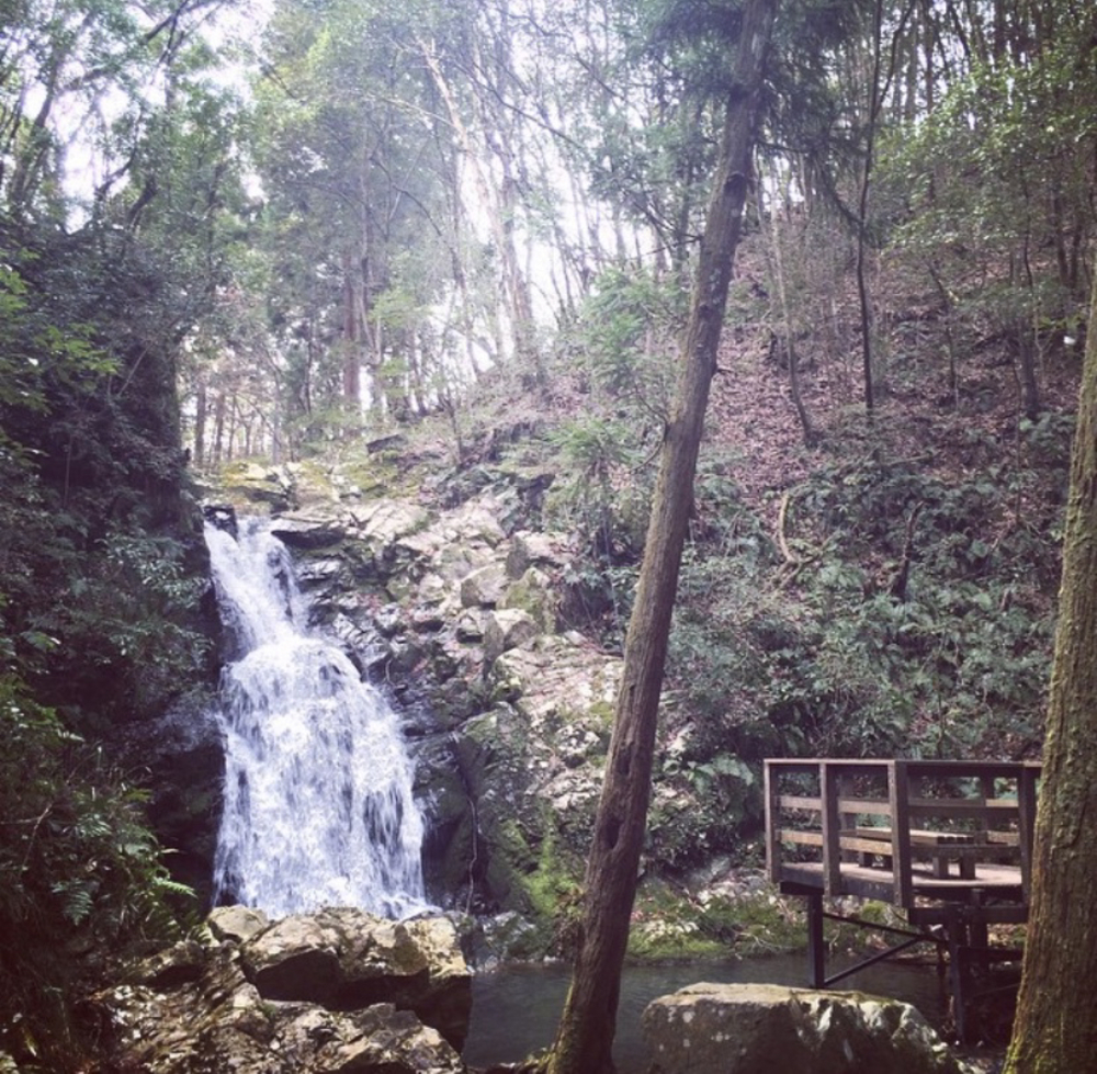 芥川のせせらぎと摂津峡を楽しむコースの写真3