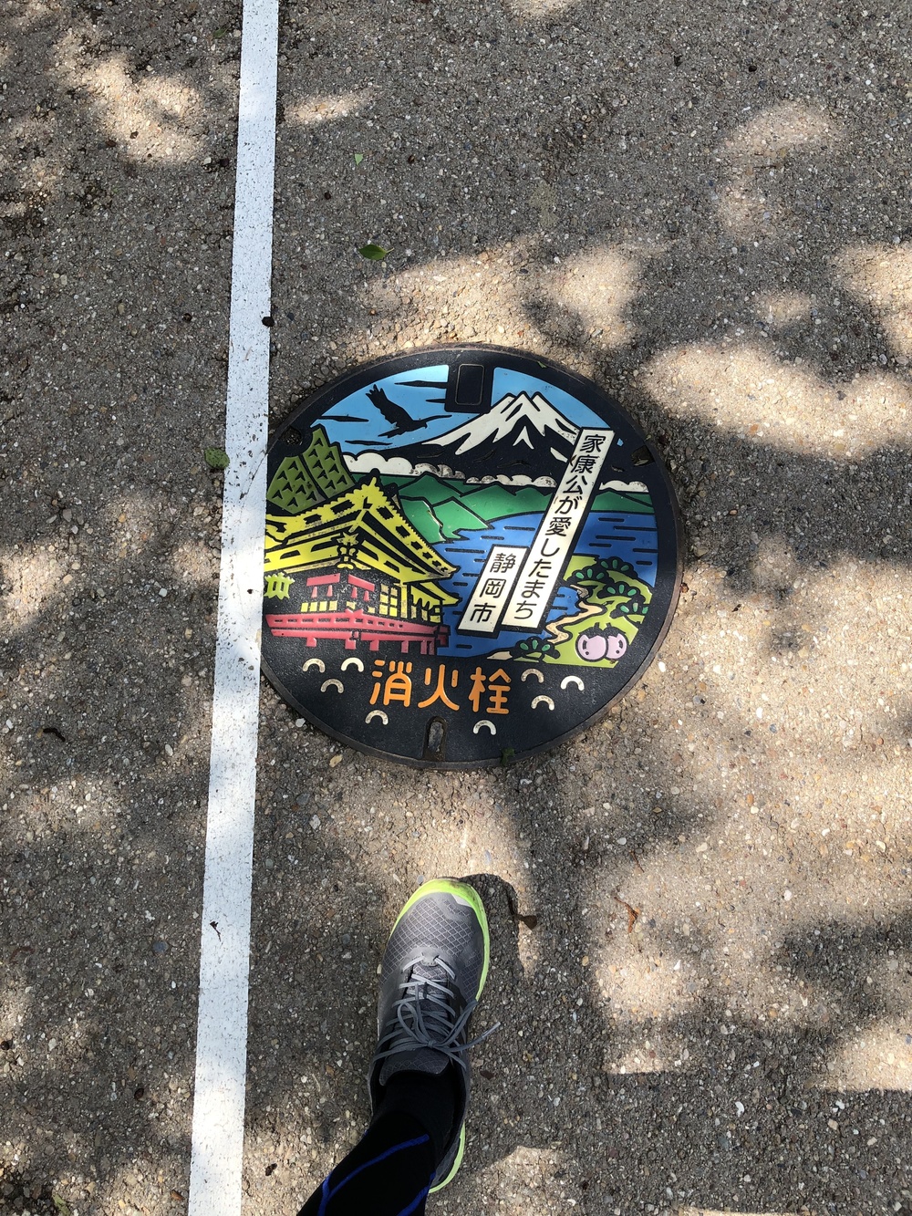 富士山、まるちゃん、家康公 、静岡最高です！！の写真5