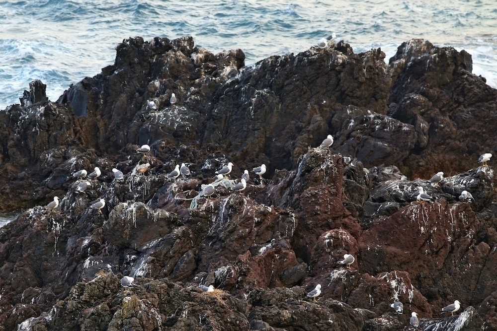 1周8km・仙法志御崎周回コースの写真4