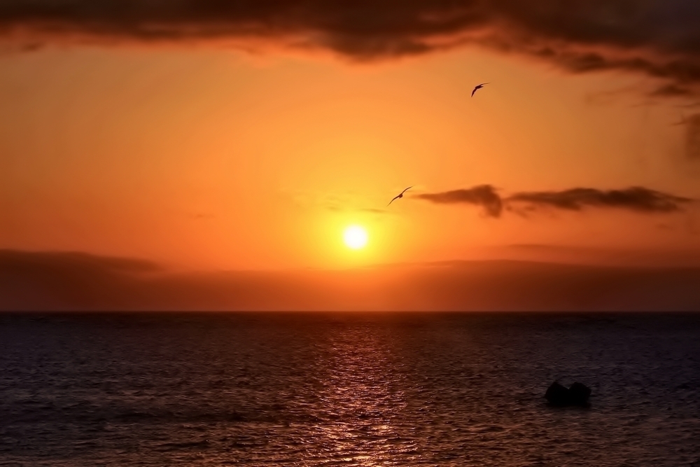 防波堤ドーム〜ノシャップ岬往復10kmシーサイドコースの写真6