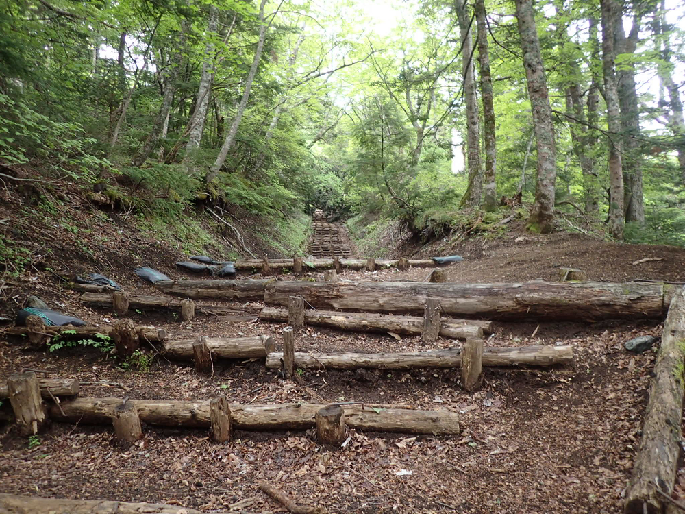 富士登山競走の一部区間を試走する4.3kmコースの写真3