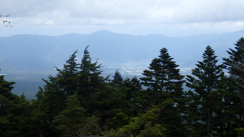富士登山競走の一部区間を試走する4.3kmコースの写真6