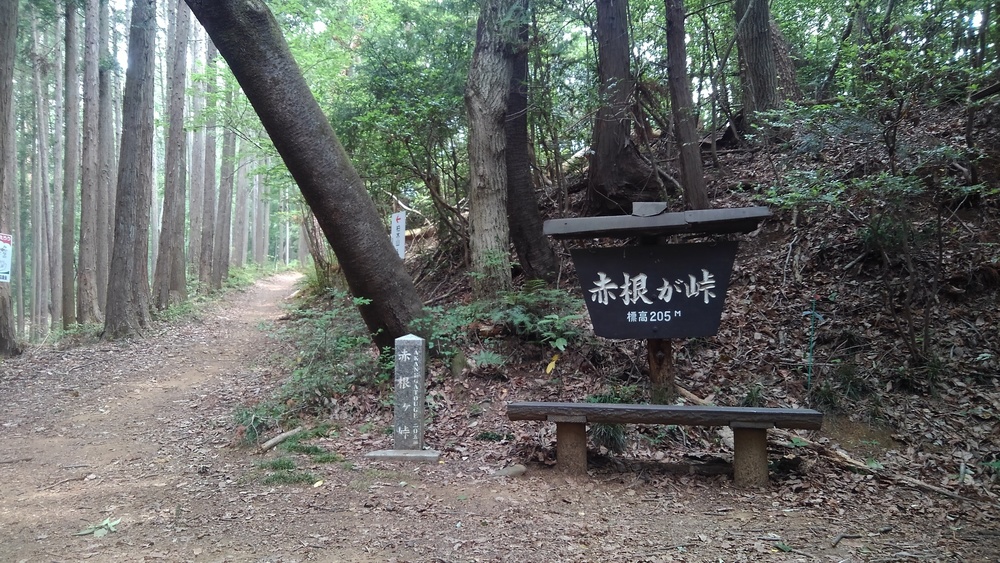 飯能里山トレイルアラウンド20Kの写真4