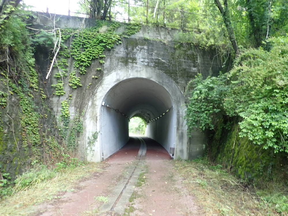 琵琶湖を一望出来る（はず）　伊吹山の写真4