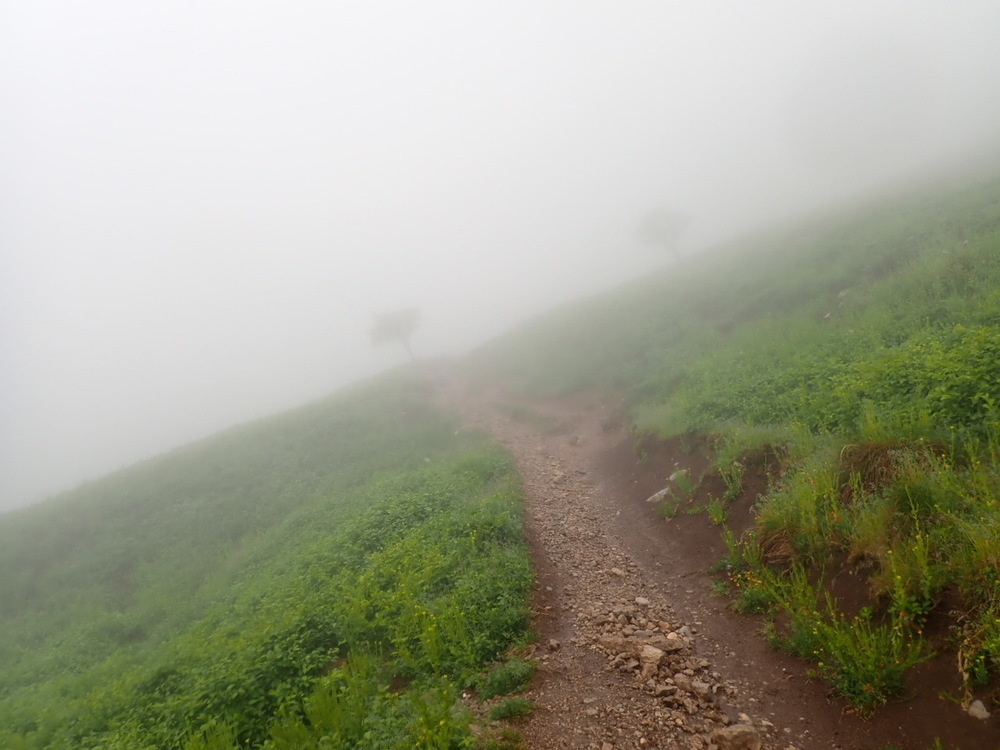 琵琶湖を一望出来る（はず）　伊吹山の写真10
