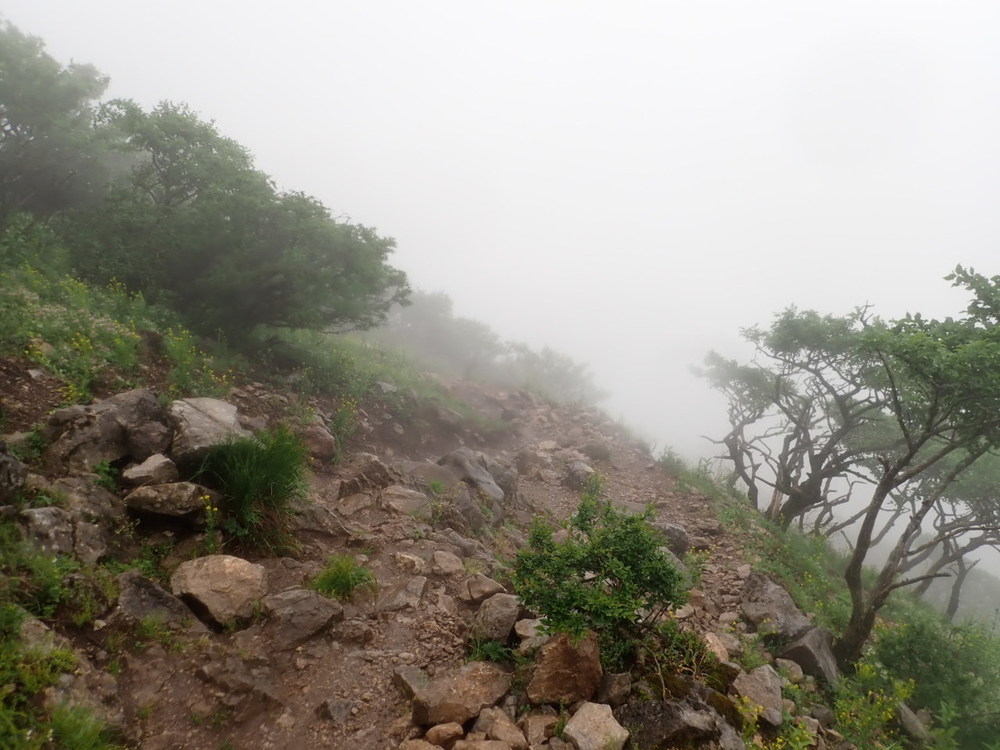 琵琶湖を一望出来る（はず）　伊吹山の写真11