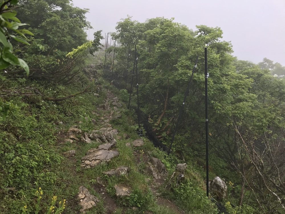 琵琶湖を一望出来る（はず）　伊吹山の写真12