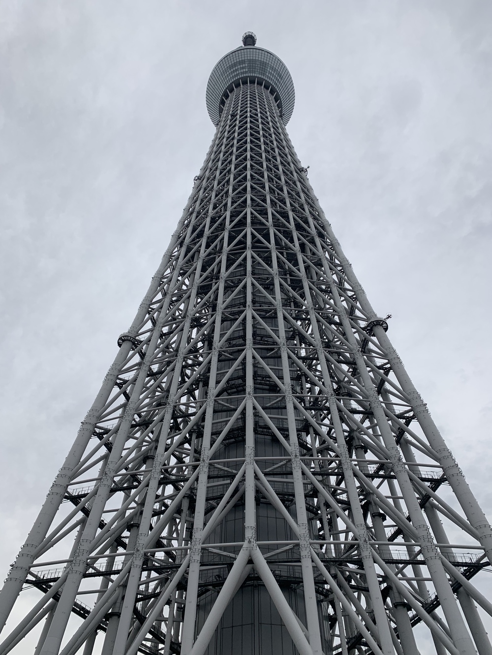 スカイツリーから東京観光地巡りの写真3