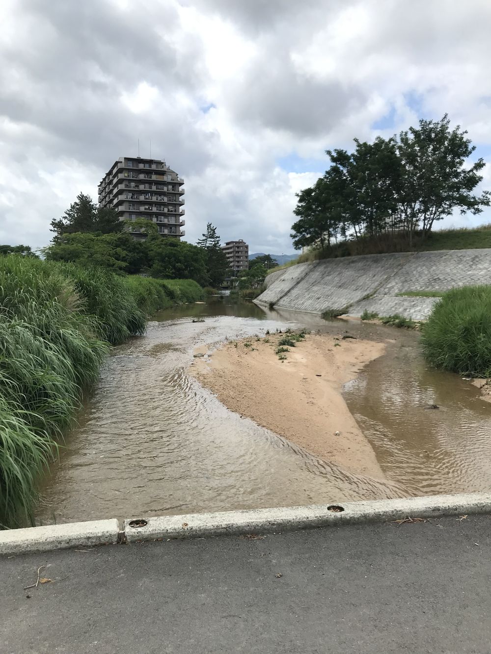 武庫川遡上コースの写真4