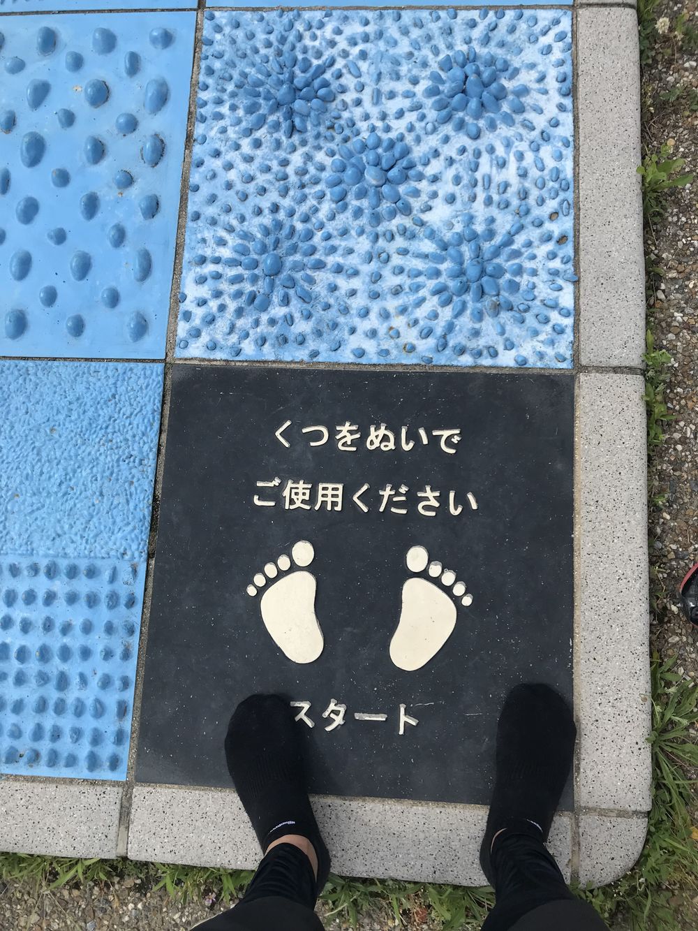 武庫川遡上コースの写真6