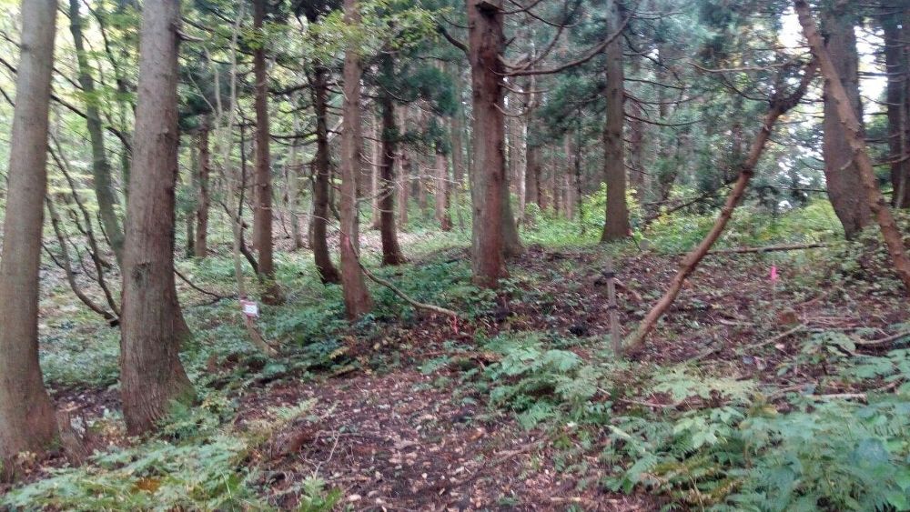 トレランに必要なテクを習得するのに最適な越後丘陵公園トレランコースの写真3