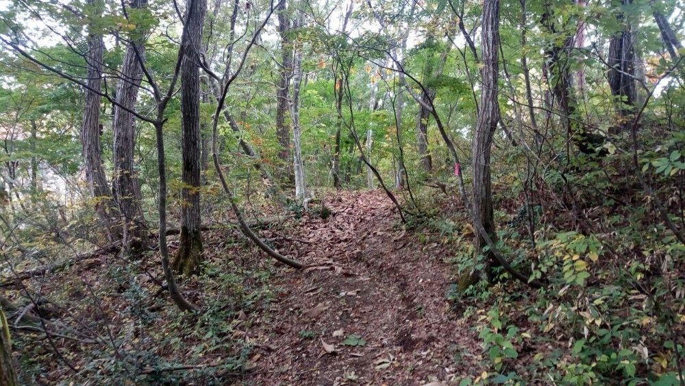 トレランに必要なテクを習得するのに最適な越後丘陵公園トレランコースの写真4