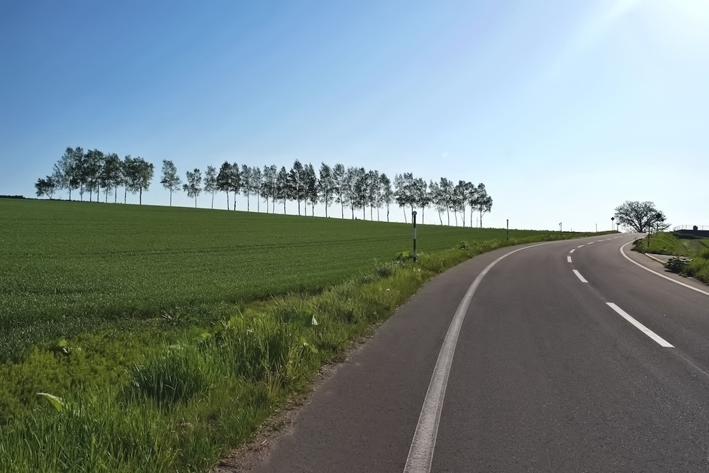 丘のまち美瑛の「パッチワークの路」コースの写真6