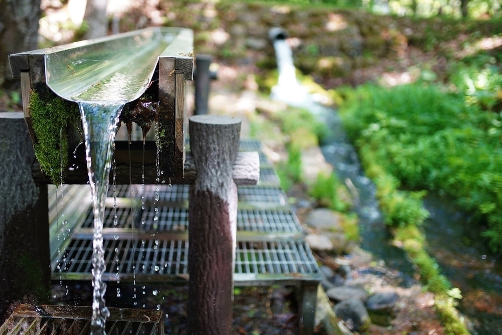 来運の水と清里「パノラマの丘」コースの写真3