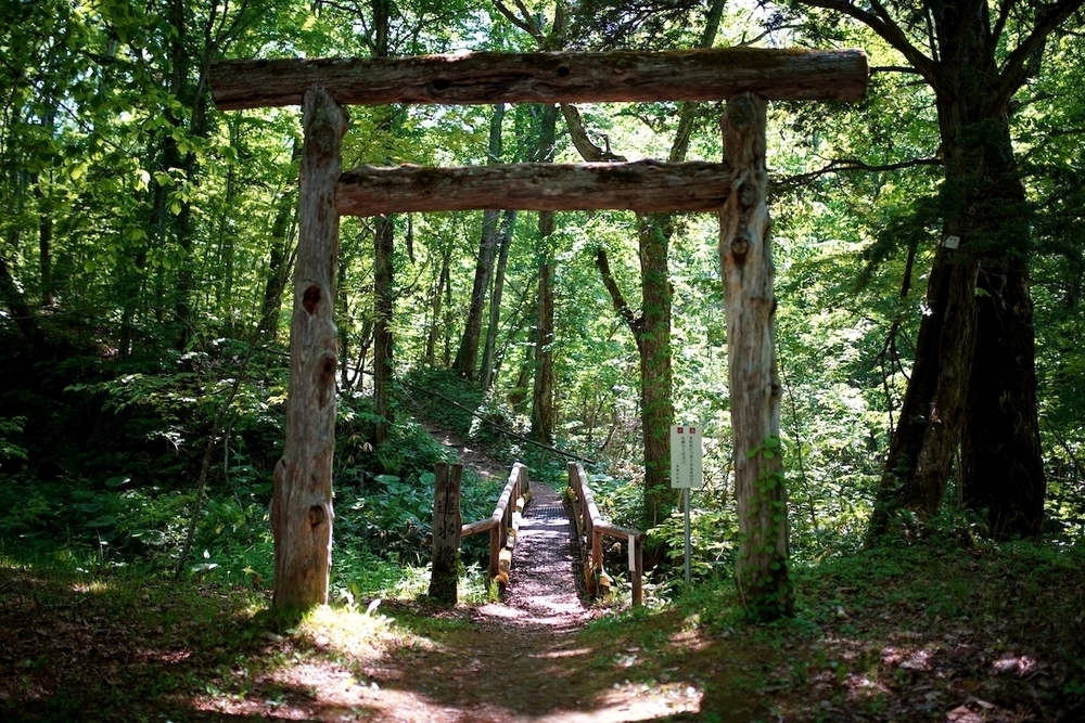 来運の水と清里「パノラマの丘」コースの写真4