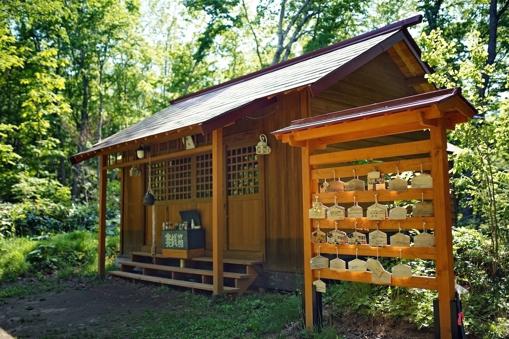 来運の水と清里「パノラマの丘」コースの写真5