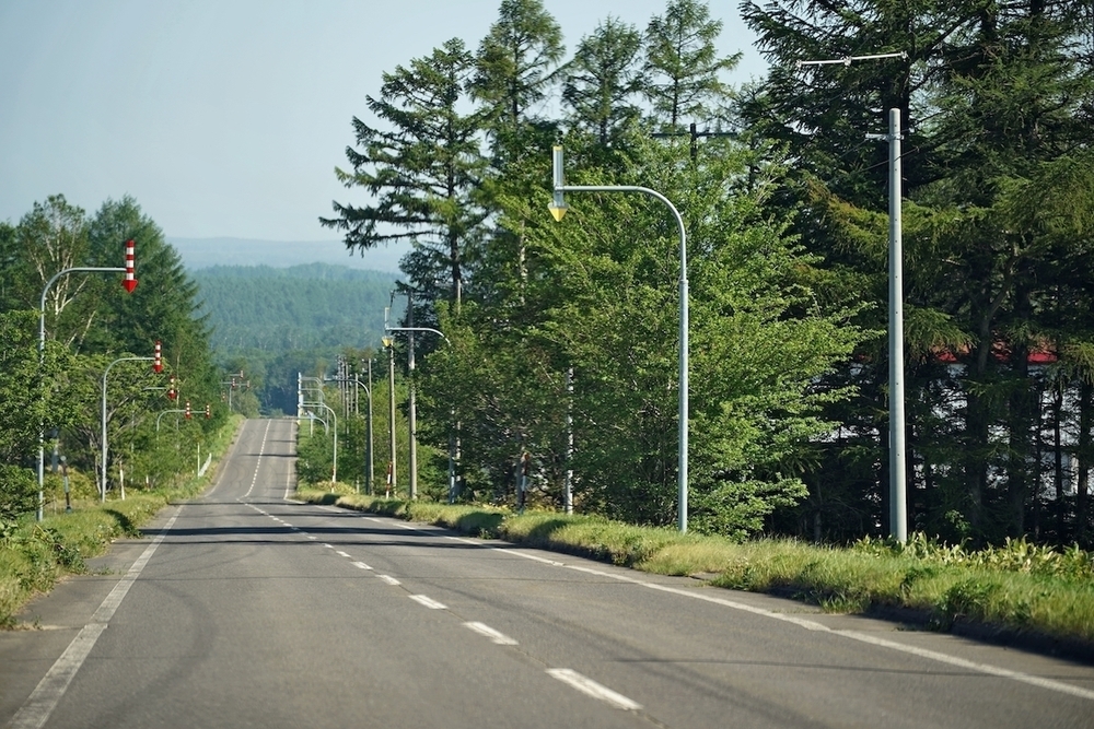 来運の水と清里「パノラマの丘」コースの写真6