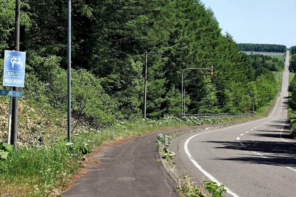 開陽台〜ミルクロード満喫10kmコースの写真3