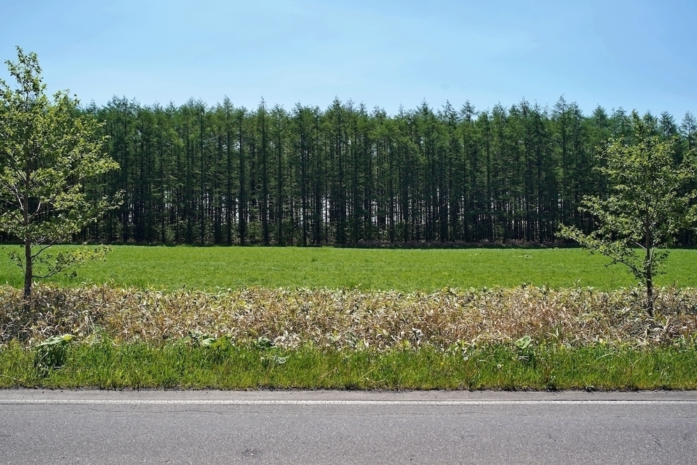 開陽台〜ミルクロード満喫10kmコースの写真7