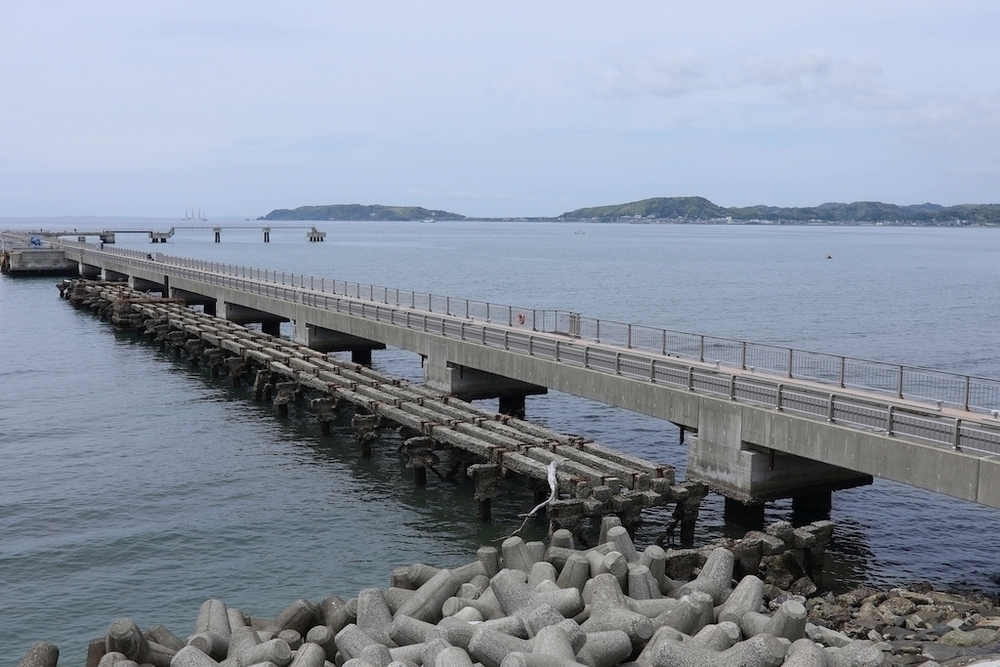 館山シーサイド往復5kmコースの写真3