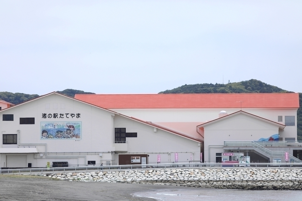 館山シーサイド往復5kmコースの写真4