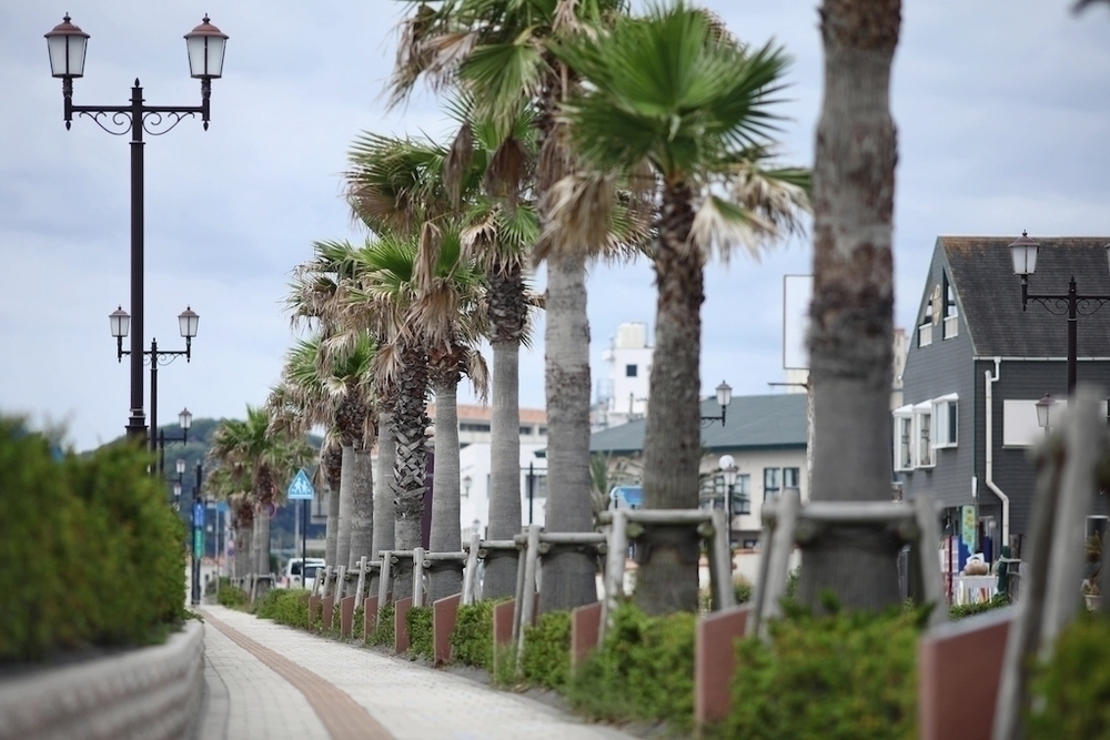 館山シーサイド往復5kmコースの写真6