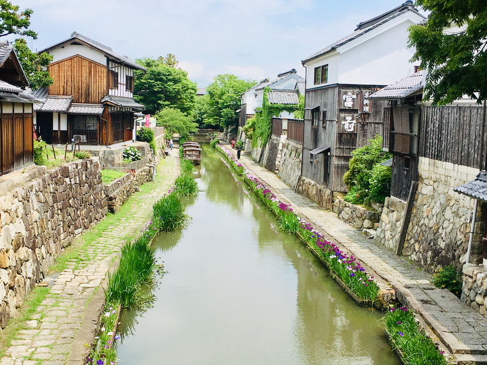 近江八幡ランニング 日牟禮八幡宮〜ラコリーナへの写真8