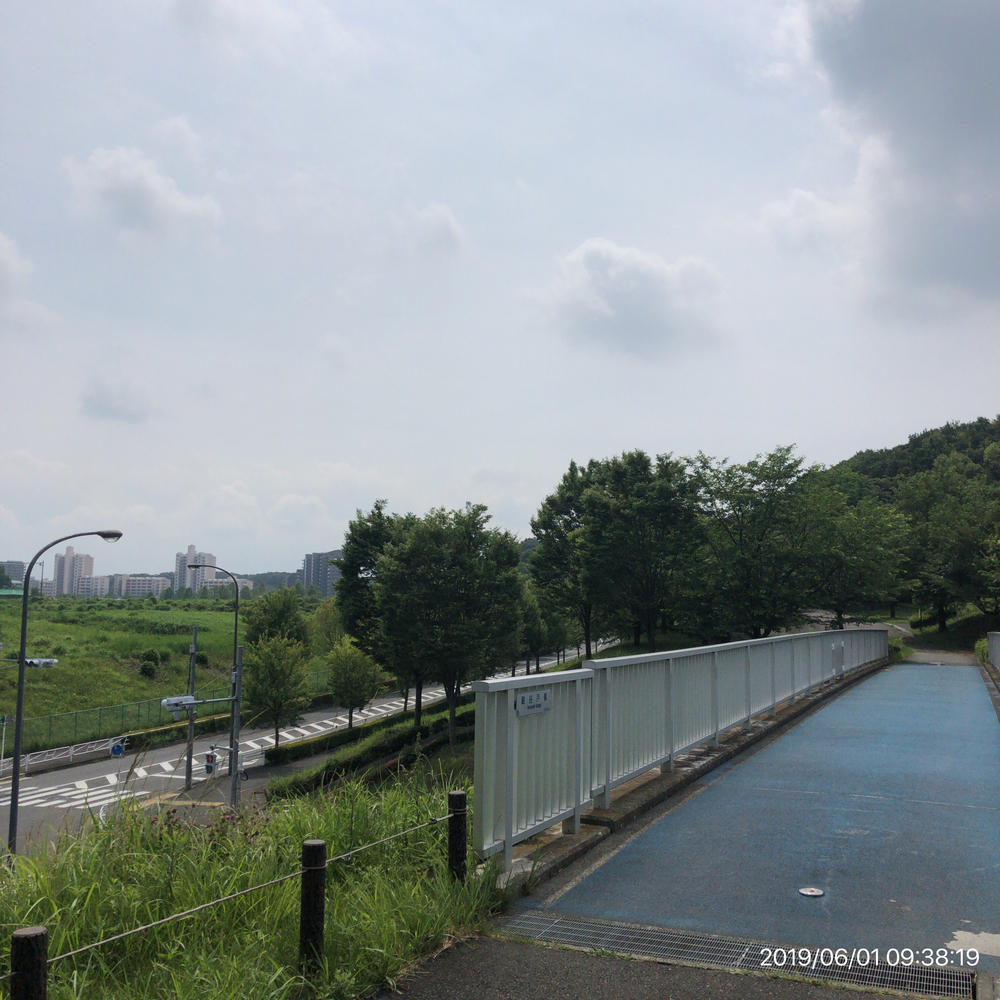 多摩丘陵ラン(相原→尾根緑道→小山内裏公園→尾根緑道→長池公園)の写真3