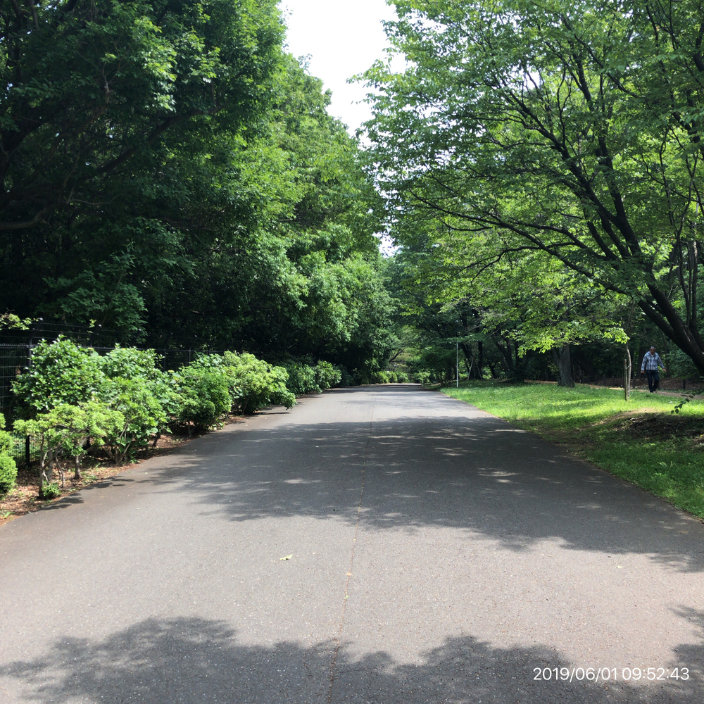 多摩丘陵ラン(相原→尾根緑道→小山内裏公園→尾根緑道→長池公園)の写真4