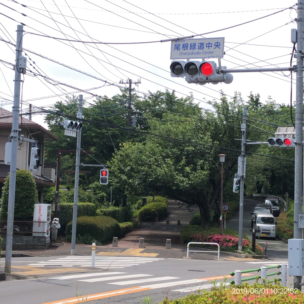 多摩丘陵ラン(相原→尾根緑道→小山内裏公園→尾根緑道→長池公園)の写真7