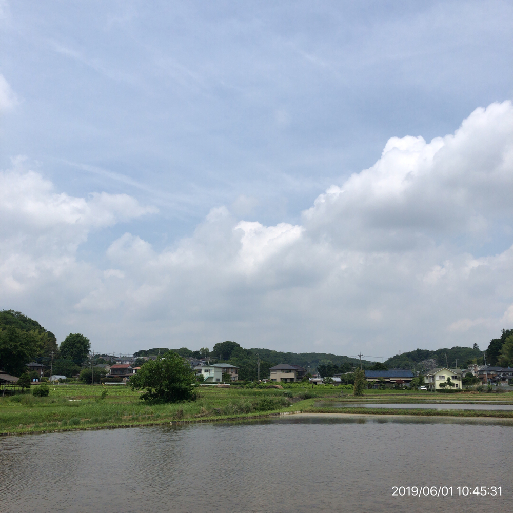 多摩丘陵ラン(相原→尾根緑道→小山内裏公園→尾根緑道→長池公園)の写真9