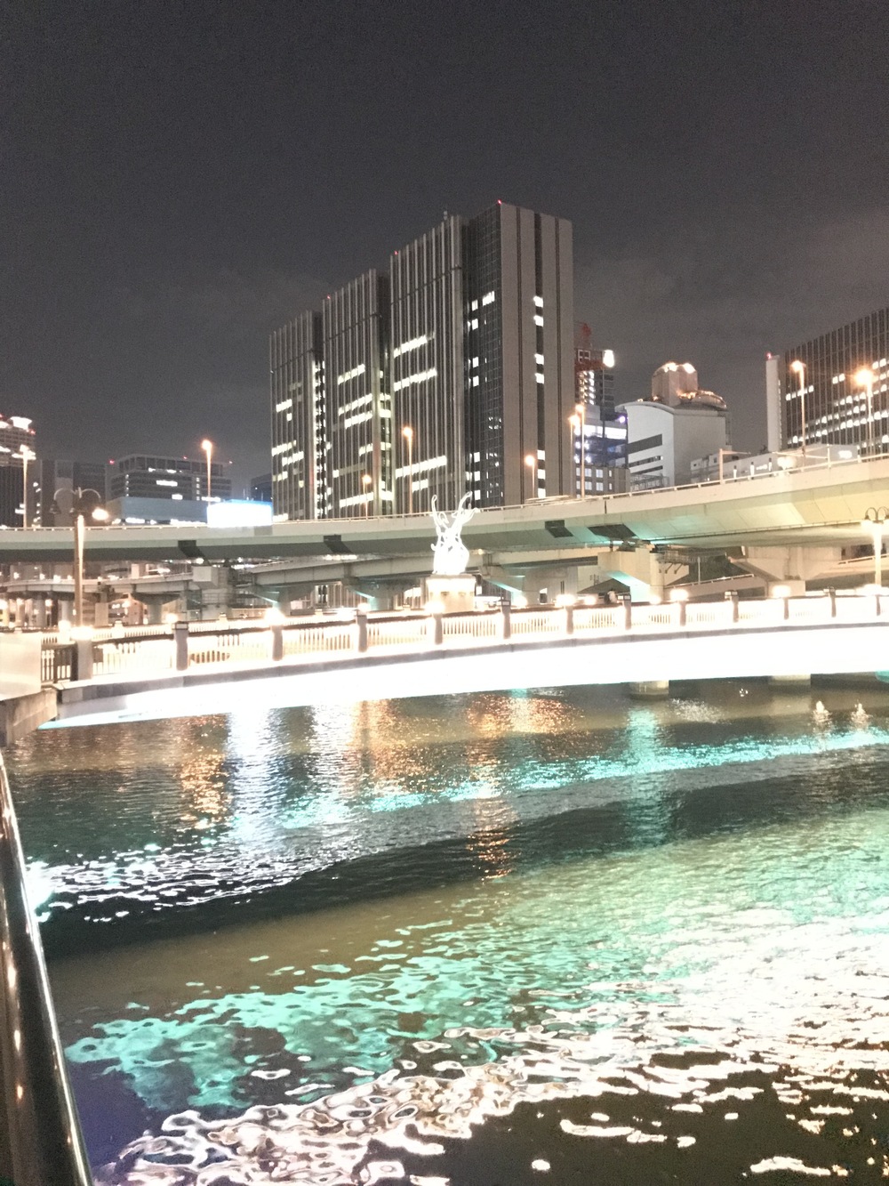 中之島往復ナイトランコースの写真3