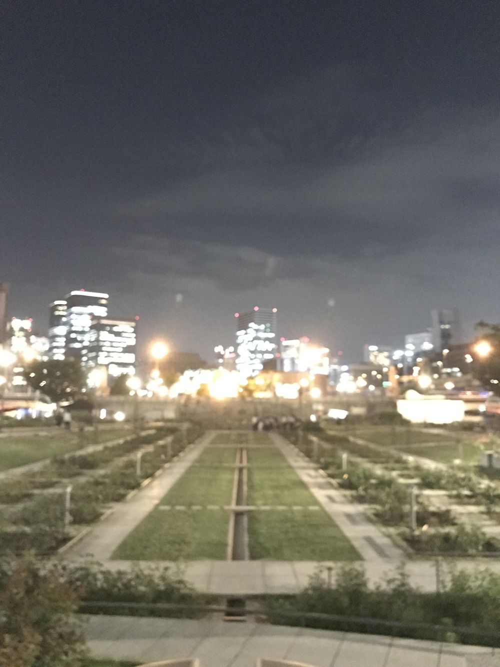 中之島往復ナイトランコースの写真4