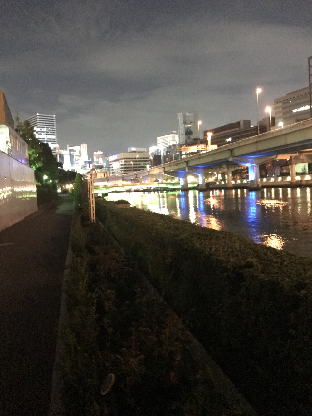 中之島往復ナイトランコースの写真6