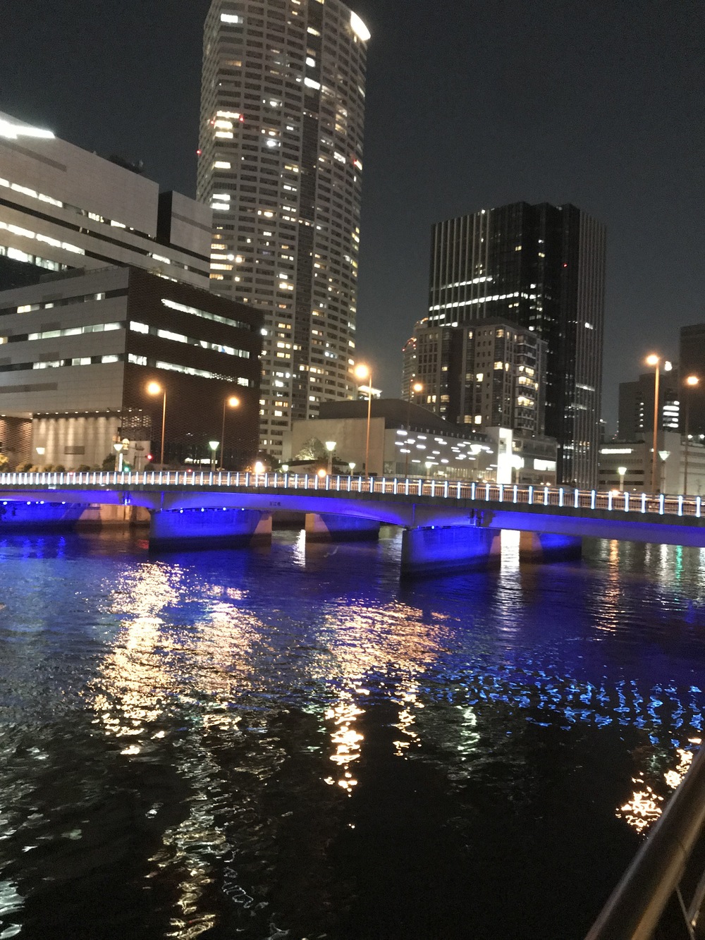 中之島往復ナイトランコースの写真7