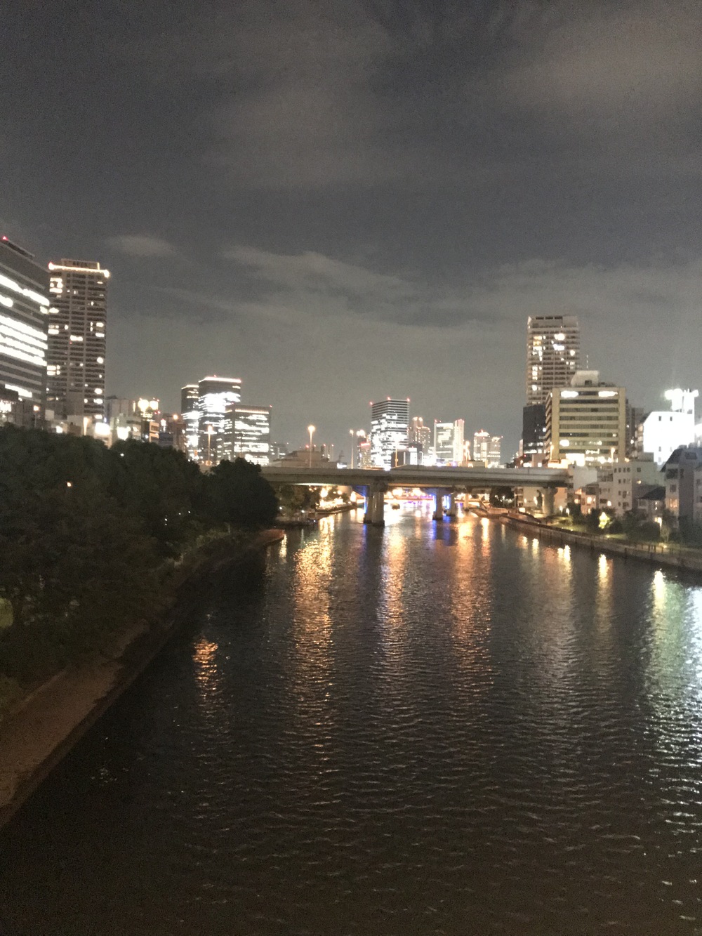 中之島往復ナイトランコースの写真8