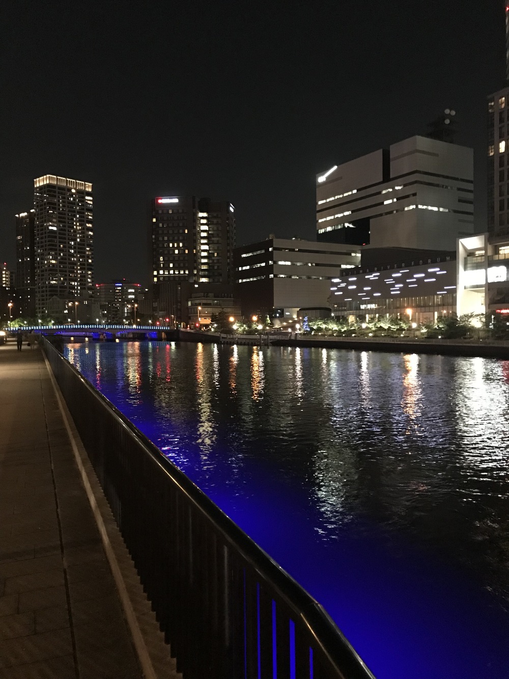 中之島往復ナイトランコースの写真9