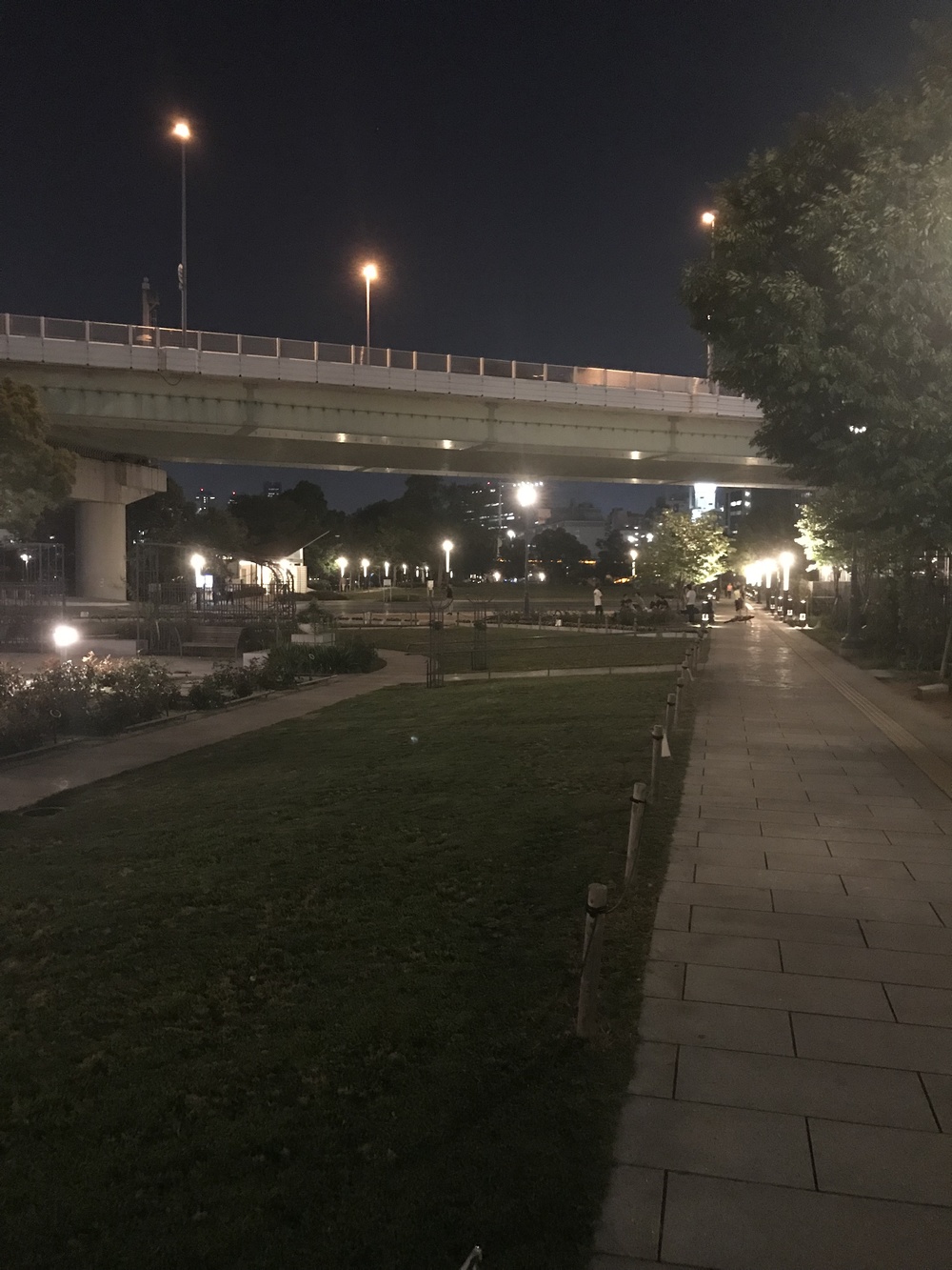 中之島往復ナイトランコースの写真10