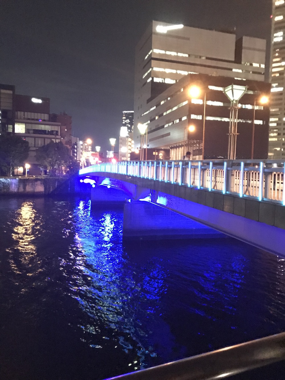 中之島往復ナイトランコースの写真11