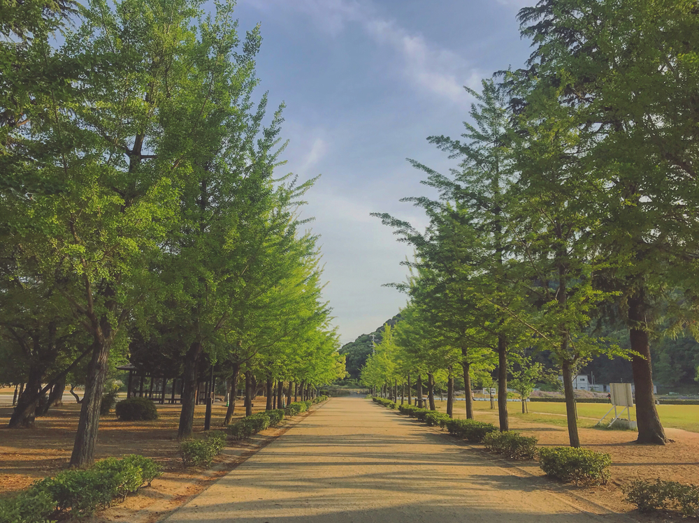 道後温泉周辺散策ラン♨️の写真4