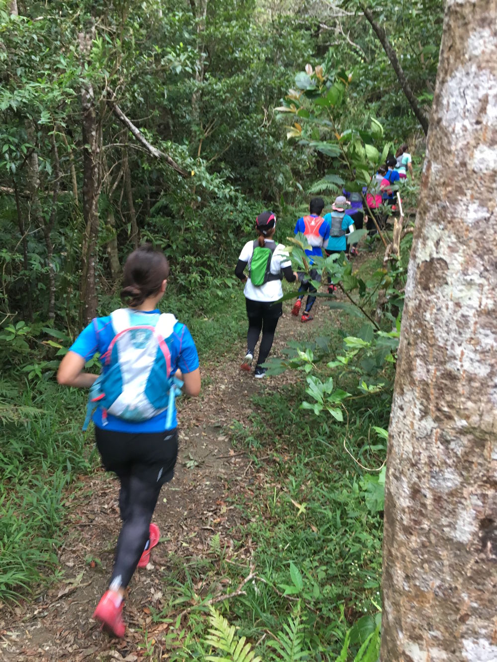 沖縄 名護岳の写真3