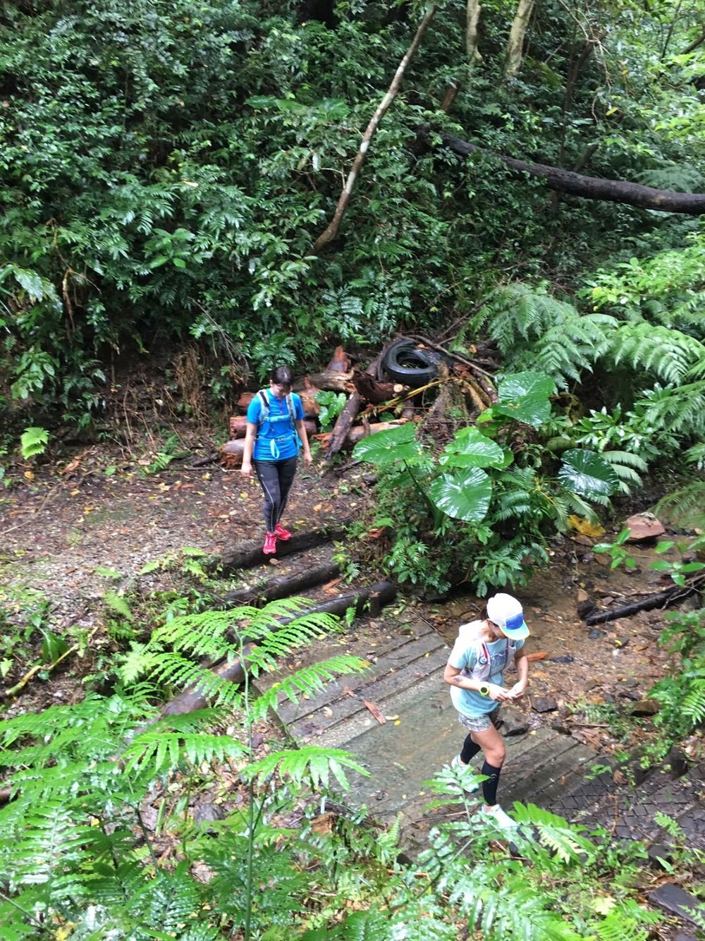 沖縄 名護岳の写真4