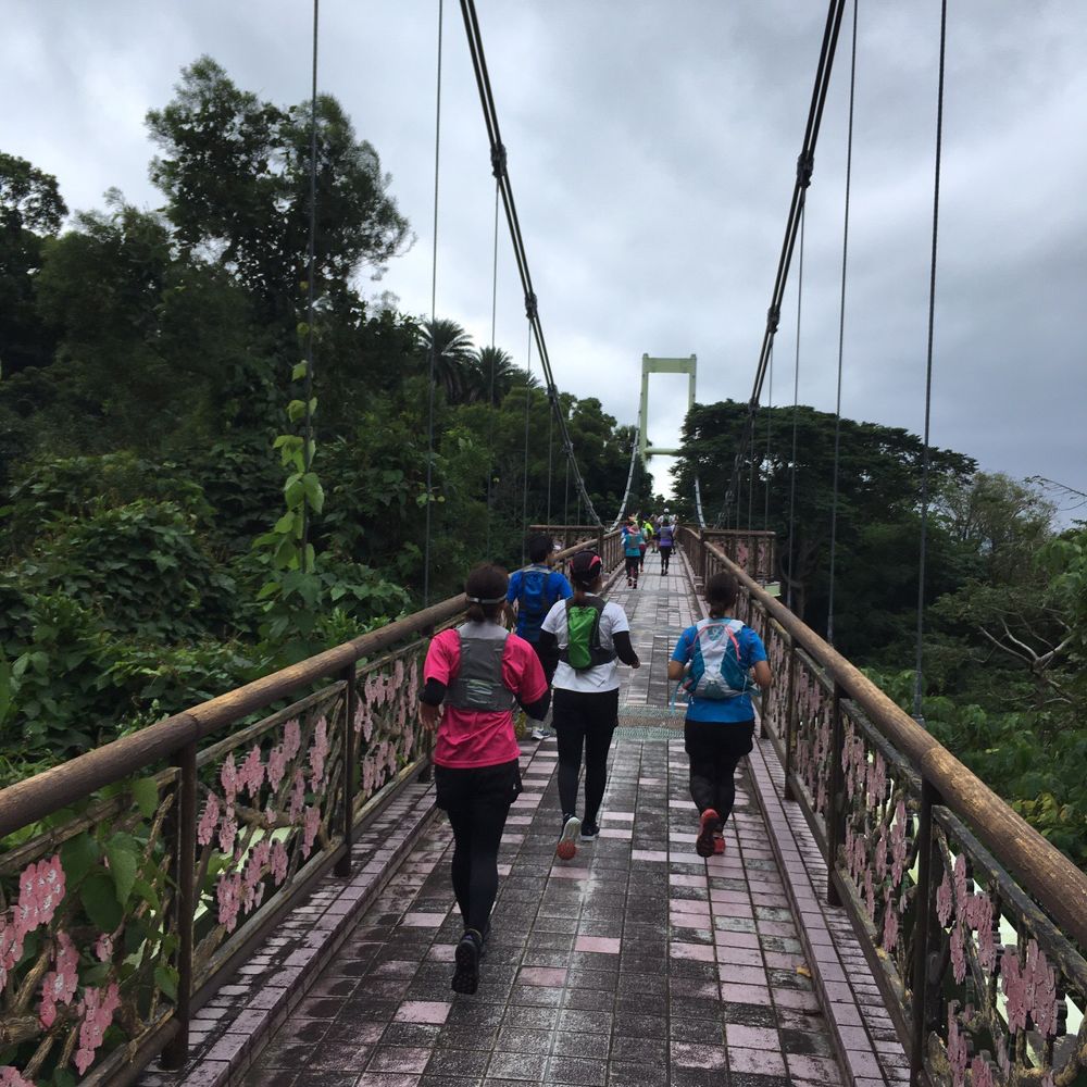 沖縄 名護岳の写真6