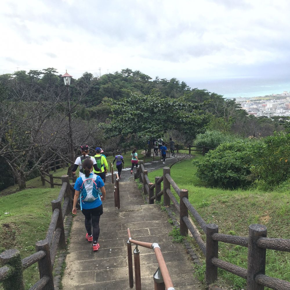 沖縄 名護岳の写真8